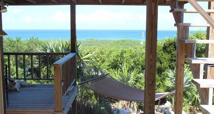 The View at Surfer's Beach (Lower Unit Only)