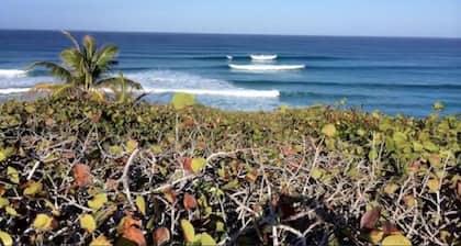 The View at Surfer's Beach (Lower Unit Only)