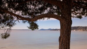 Un tronco de árbol con vista despejada a una playa tranquila y montañas lejanas.