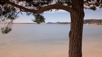 Plage à proximité, chaises longues, serviettes de plage