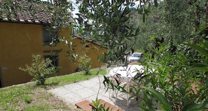 Bauernhaus in den Hügeln von Lucca