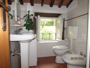 Ducha, secador de pelo, bidé y toallas