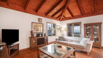 Smart TV, fireplace, DVD player, books