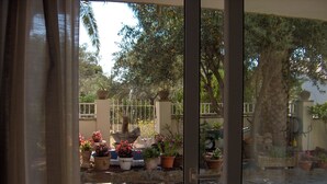 Un patio con suelo de piedra, plantas en macetas y una verja de metal.