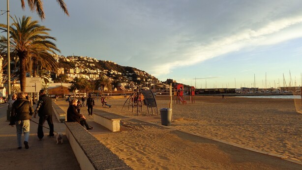 Una playa con arena, palmeras y un parque infantil.