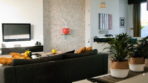 Älytelevisio, takka, DVD-soitin, kirjoja