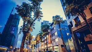 A city street with tall buildings, palm trees, and parked cars. - Urban (Kaohsiung)