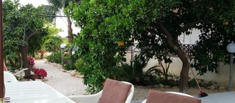 Appelsin- og sitronvilla med hage og aromatiske urter.