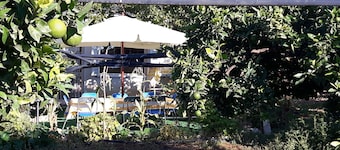 Casa vacanze in giardino di aranci, limoni ed erbette aromatiche.