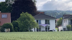 Zona residencial con casas, un campo y un gran árbol.