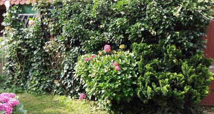 Apartment in the romantic garden<br>Note days of action !!!