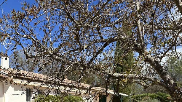 A pool area with a white building in the background. - Architect-designed house with swimming pool, near the sea, 6 adults / 2 children (Draguignan)