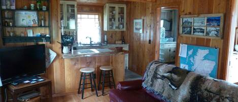 Smart TV, fireplace, books