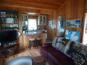 Smart TV, chimenea y libros