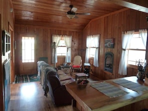 Smart TV, fireplace, books