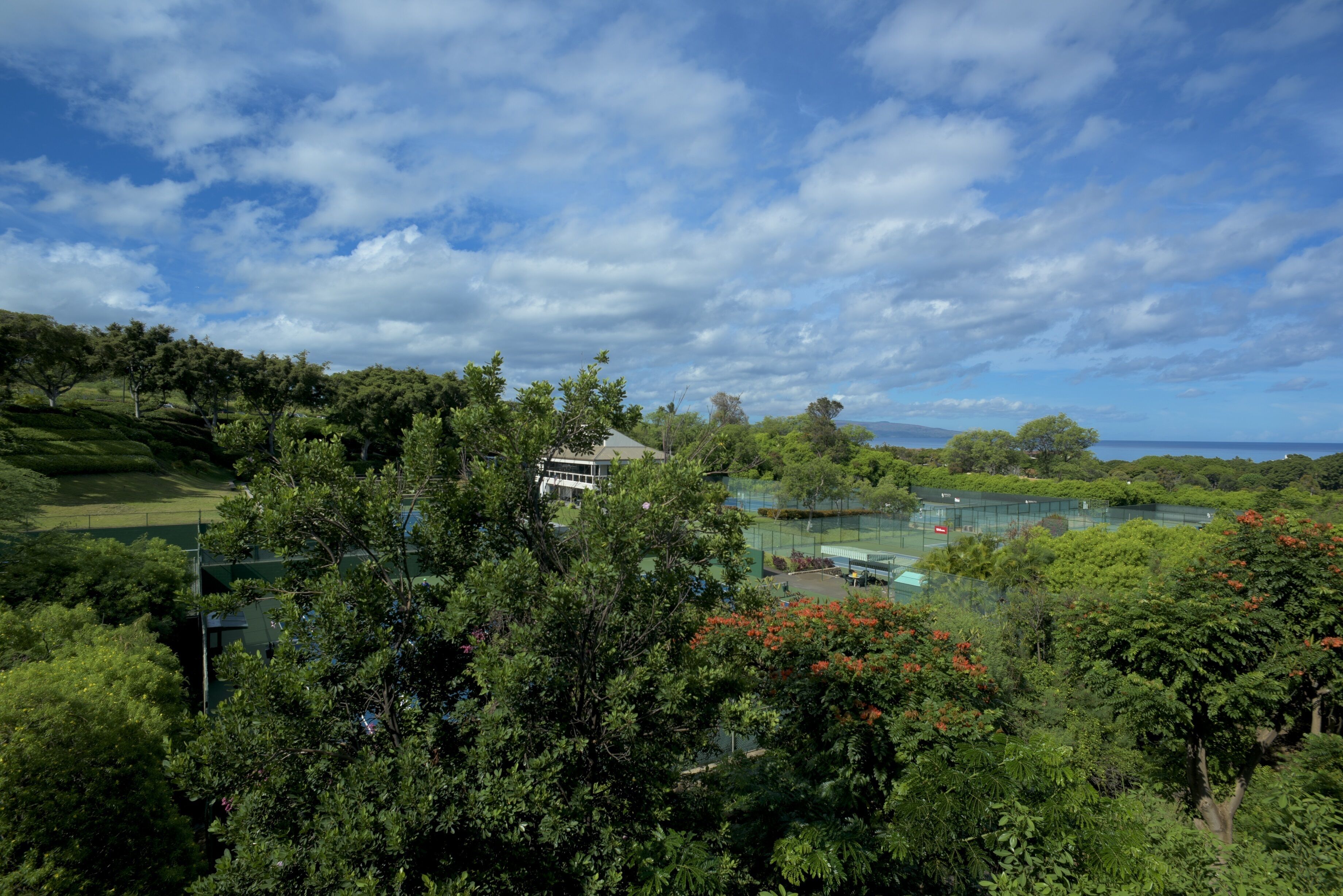 Panoramic Ocean Views! Amazing Interior! Spectacular Wailea Listing! - Photo 30