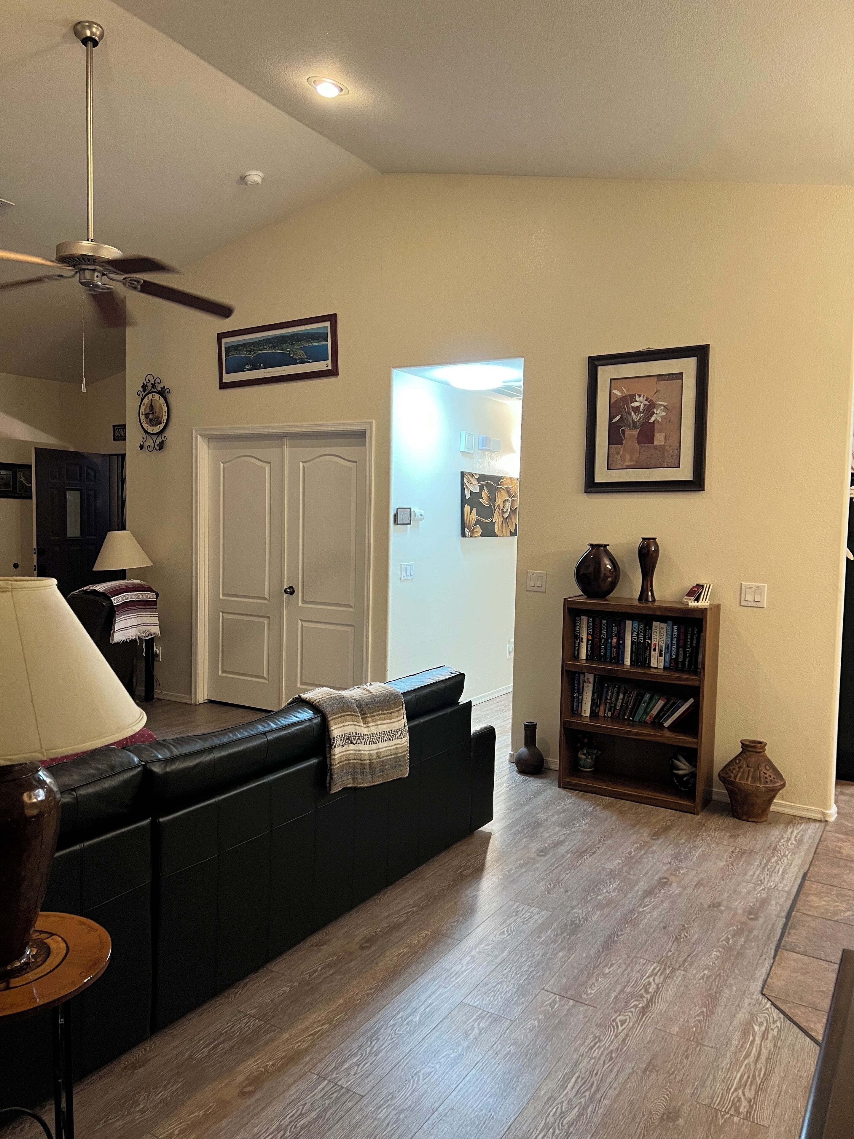 Smart TV, DVD player, books, video library