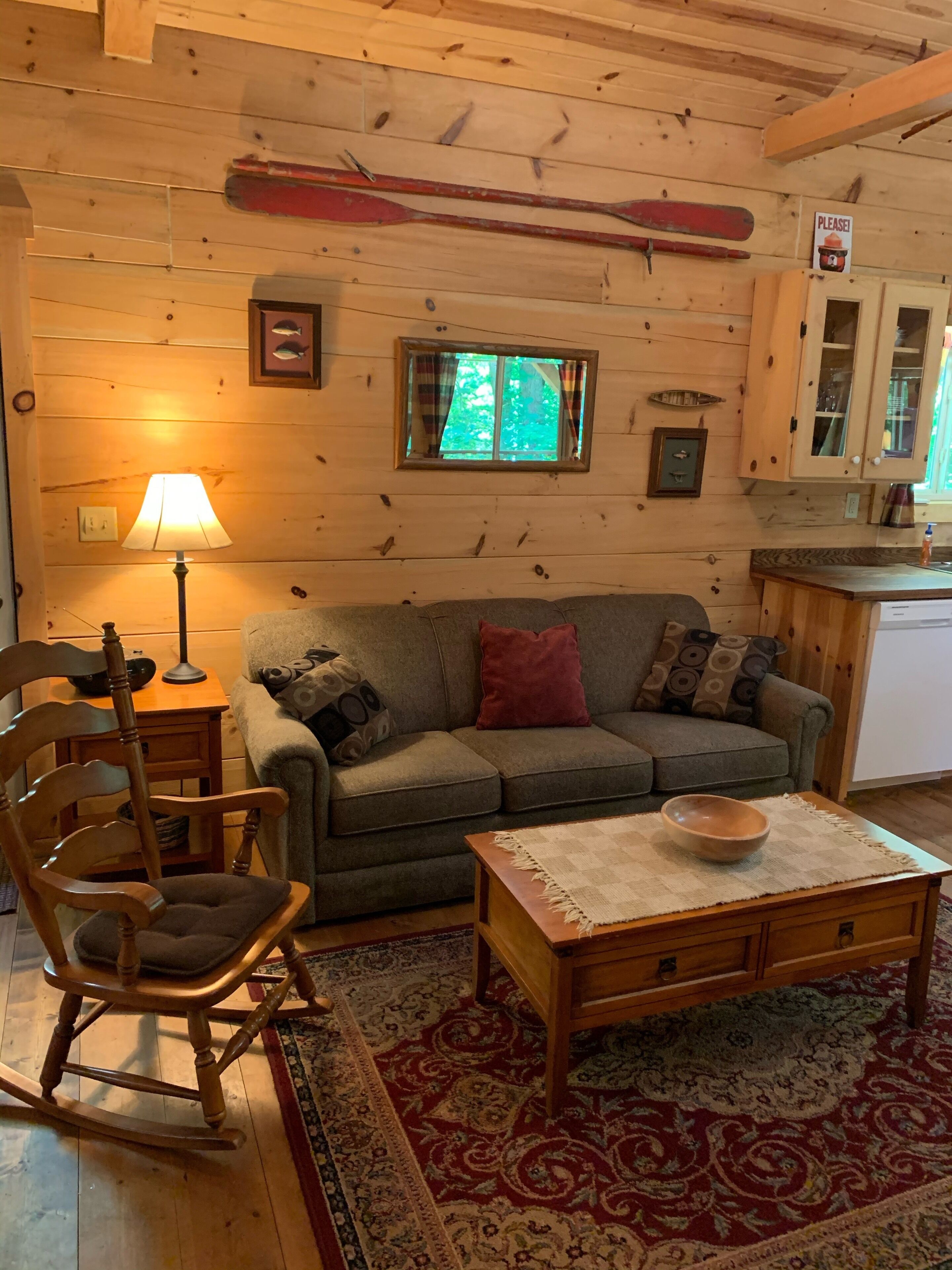 Smart TV, fireplace, DVD player, video library
