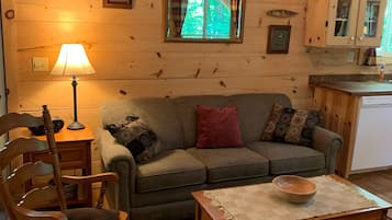 Smart TV, fireplace, DVD player, video library