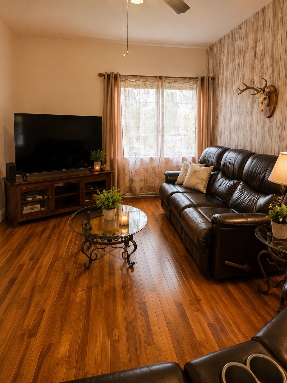 Smart TV, fireplace, DVD player, books