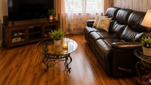 Smart TV, fireplace, DVD player, books