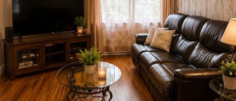 Smart TV, fireplace, DVD player, books