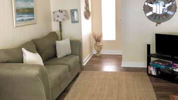 Smart TV, fireplace, DVD player, books