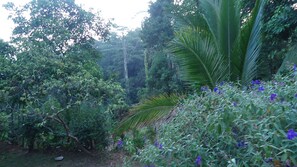 View from property - Resort Beam (Kandy)