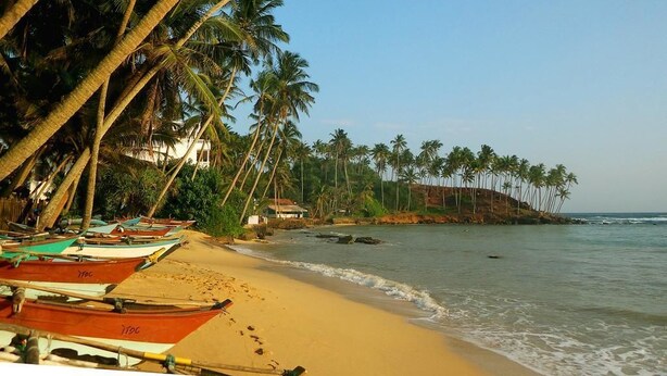 A beach with boats, palm trees, and a small building by the water. - Eliyana Guest House (Thalaramba)