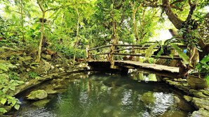 A wooden bridge over a clear pond surrounded by lush greenery.