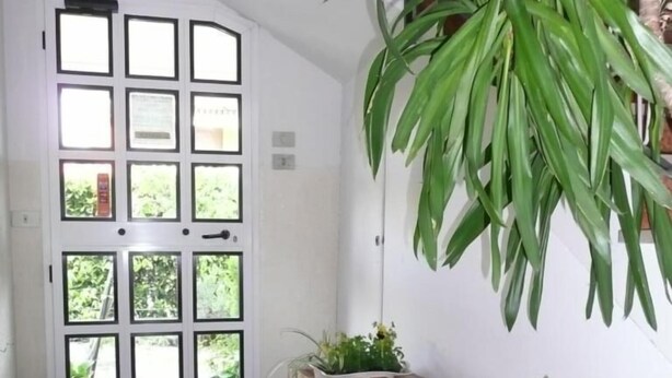 A hallway with a white door with multiple windows, a wooden bench, and potted plants. - Albergo Triana e Tyche (Sasso Marconi)