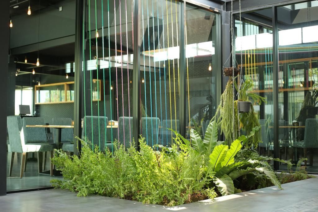 A modern indoor space with seating areas, a glass partition, and hanging plants.