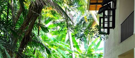 Vista desde la propiedad