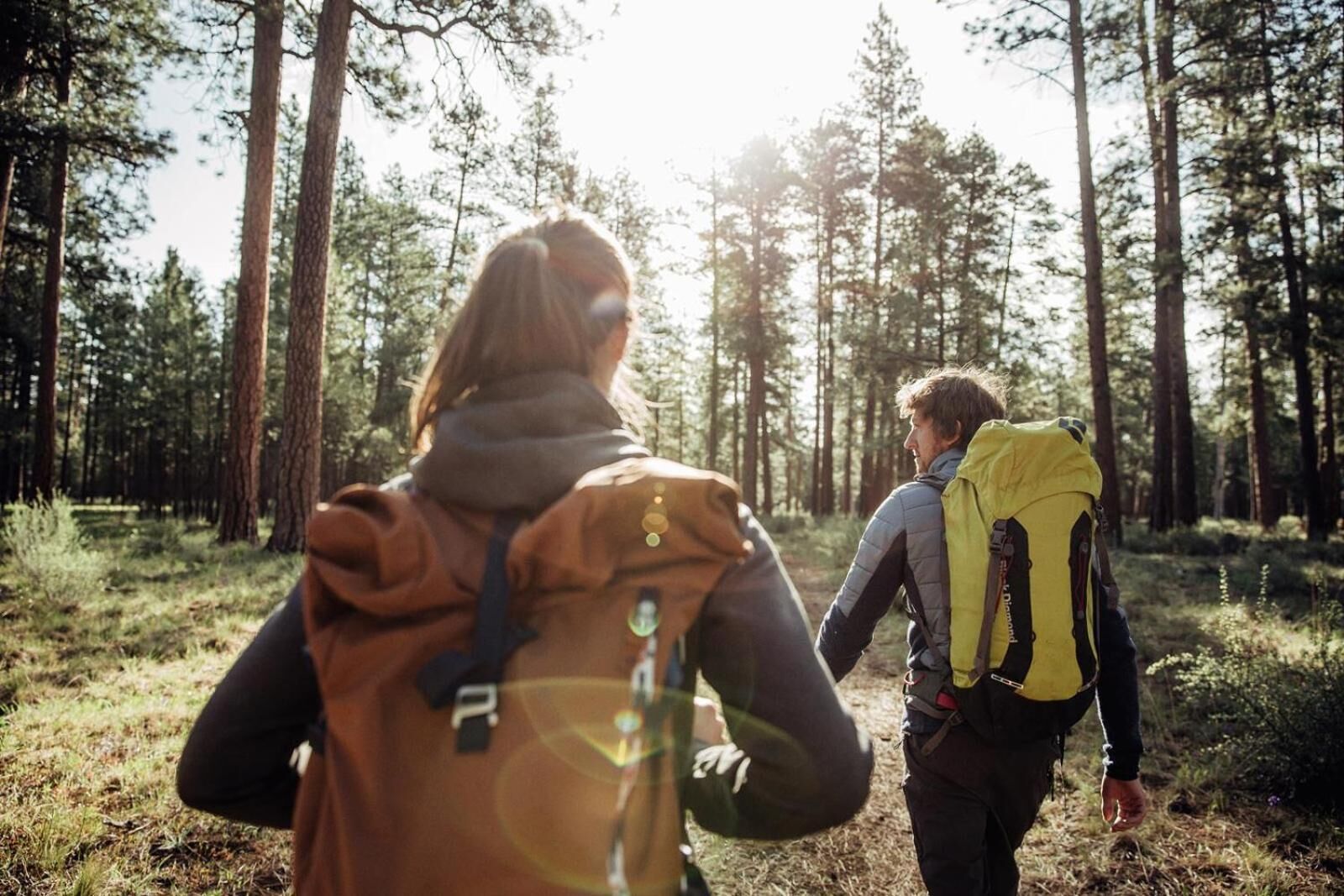 Two people hiking in a forest with tall trees and sunlight filtering through.