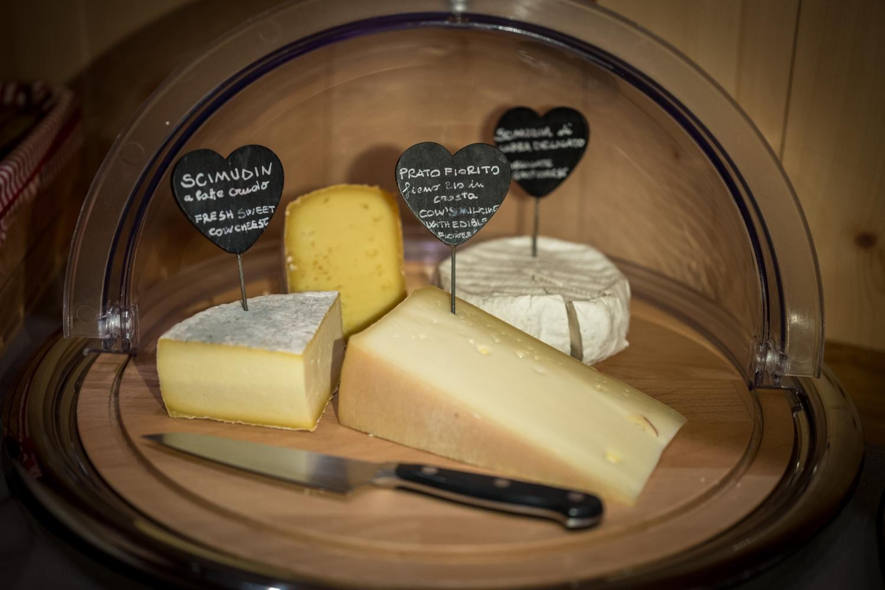 A selection of cheeses displayed in a glass case with labels.
