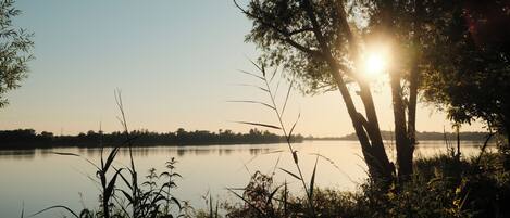 A serene lakeside view with trees and vegetation in the foreground.