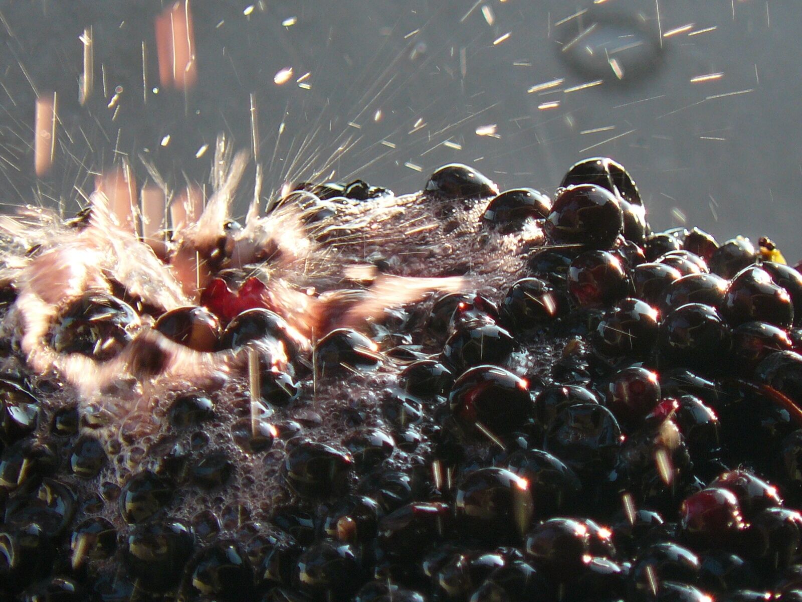 Foto - Chateau de la Vieille Chapelle