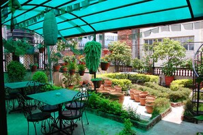 Vườn