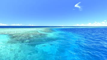 Una spiaggia nelle vicinanze, sabbia bianca