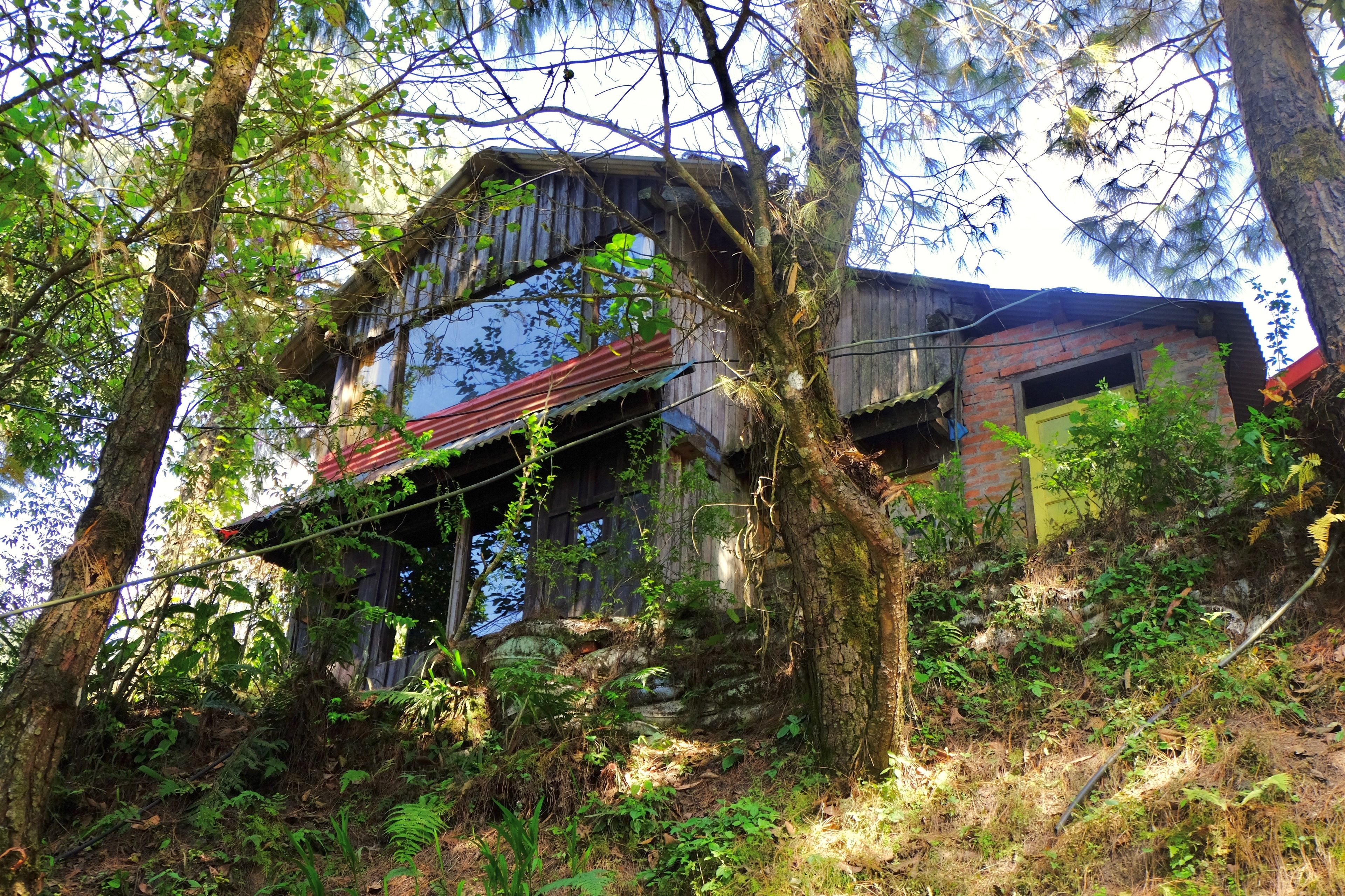 Una cabaña rústica rodeada de un bosque denso, con un pronunciado risco pedregoso y un techo rojo.