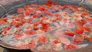 Un'ampia e decorativa vasca in metallo piena di fiori rossi e rosa, collocata all'esterno con alberi e una ringhiera sullo sfondo.