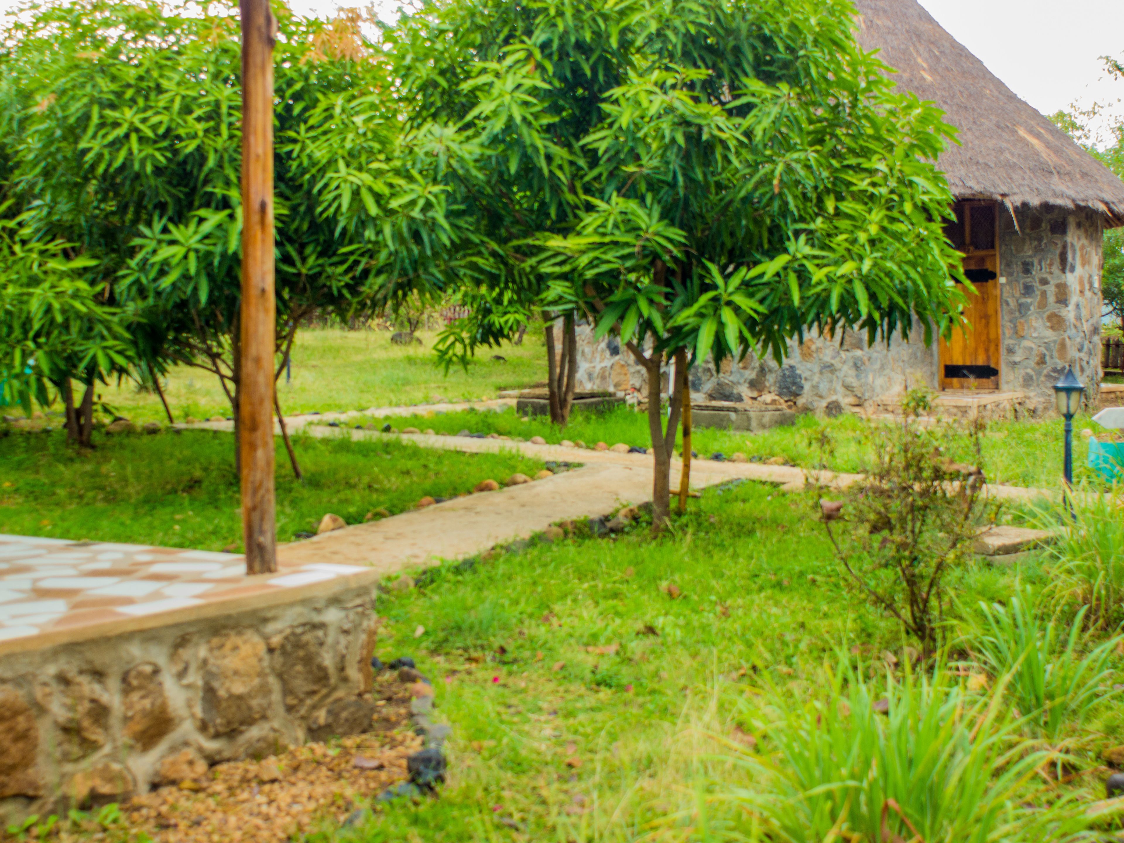 A stone building with a thatched roof, surrounded by lush greenery and a stone pathway.