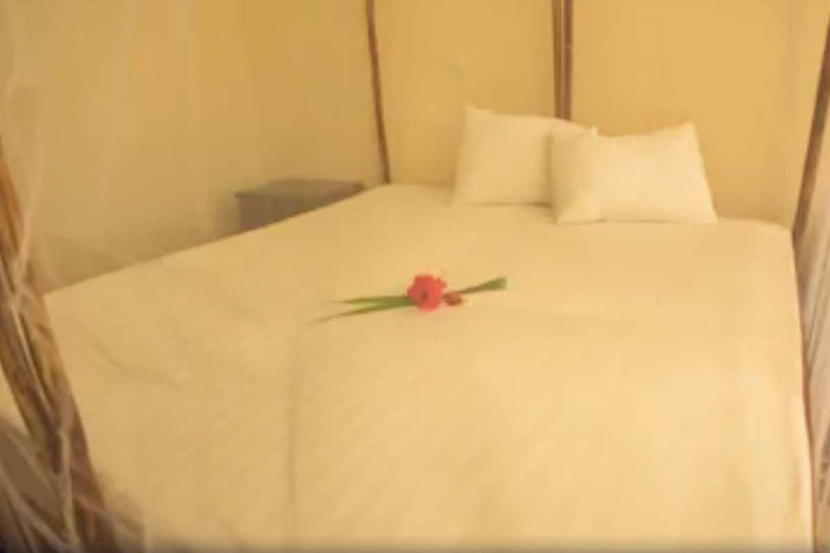 A bed with white bedding and a single pink flower.