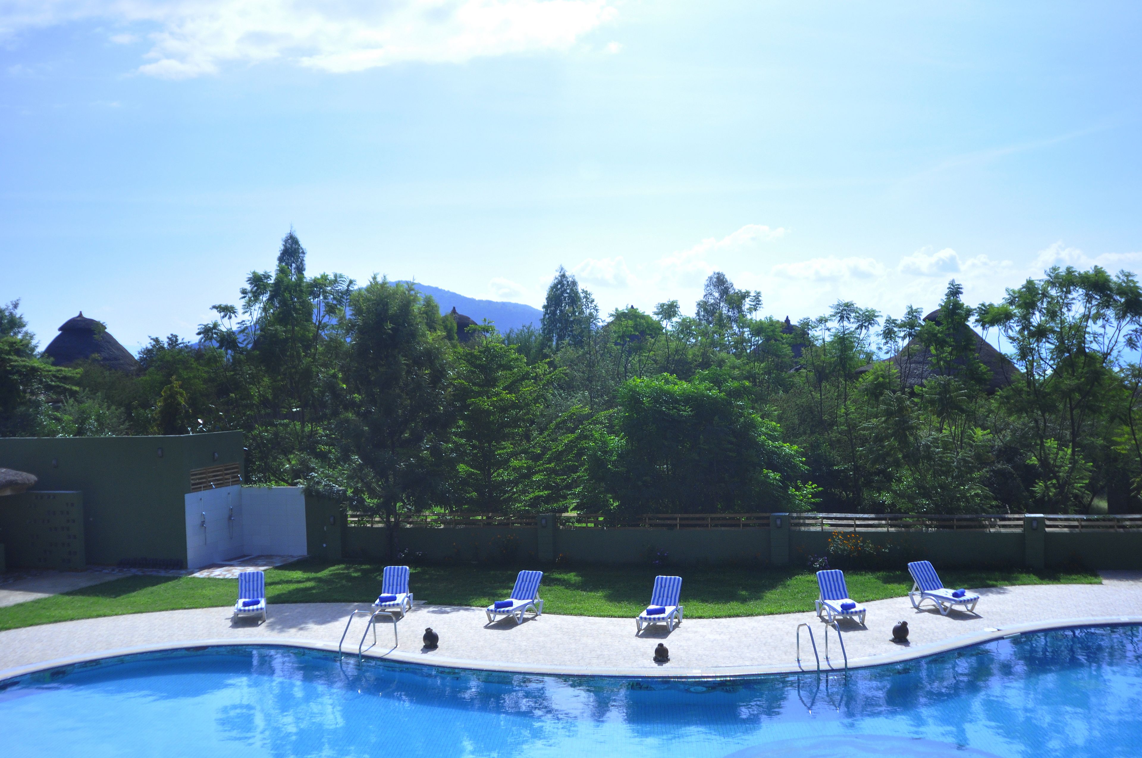 室外泳池；泳池傘、躺椅