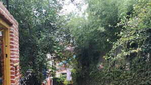 Une ruelle étroite bordée de murs de briques et d’une végétation luxuriante, qui mène à un bâtiment dont l’entrée est bien visible.