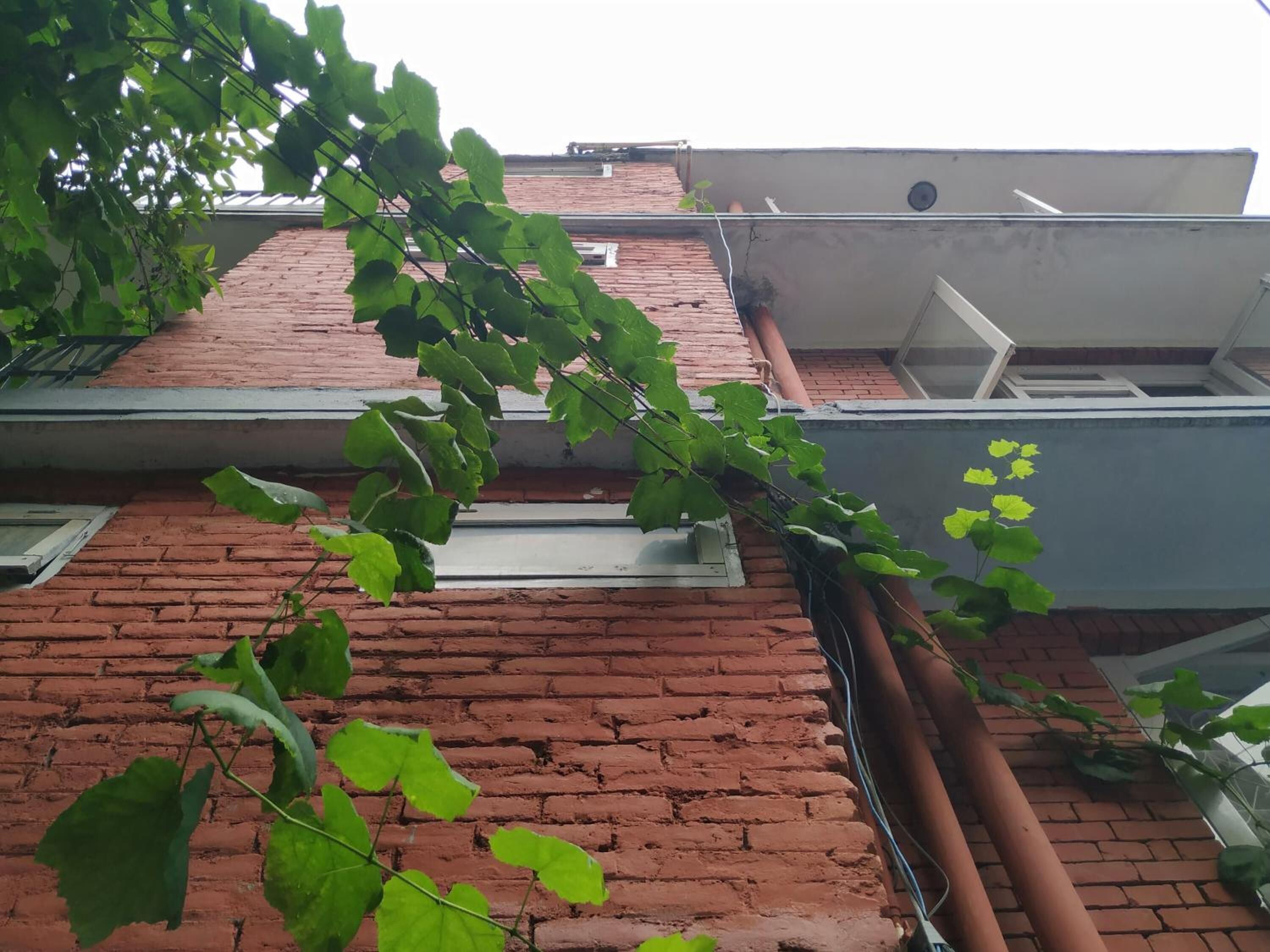 Foto - Family Peace House, Kathmandu