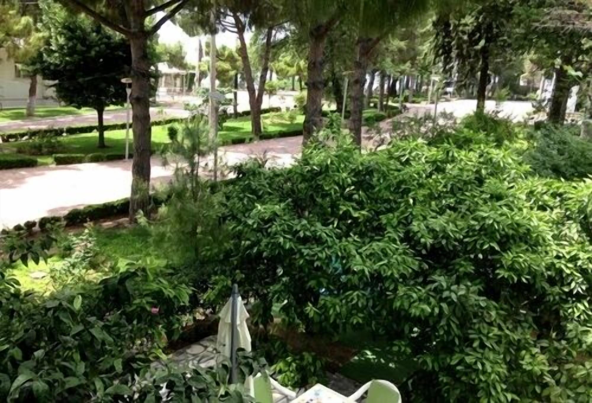 A garden area with a table and chairs, surrounded by lush greenery and trees.
