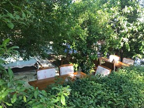 Terraza o patio
