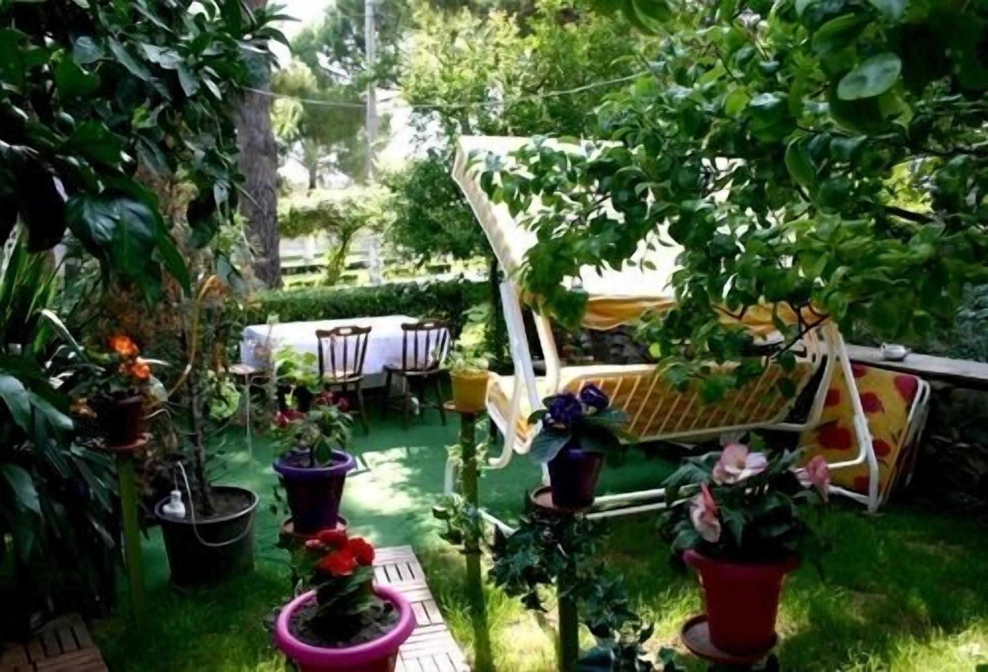 A garden with potted plants, a wooden bench, and a white chair.