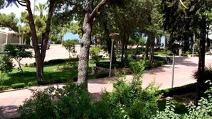Un jardín arbolado con senderos, árboles y un banco.